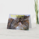 Search for persian cards Kitty