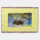 Search for duck blankets Mallard