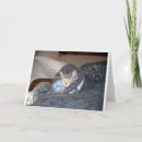 Search for christmas kitten postcards Tabby