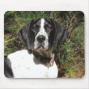 Search for pointer mousepads Gsp