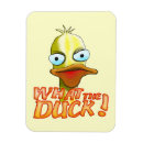 Search for flocking rectangular magnets Animal