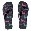 Search for dachshund jandals Summer