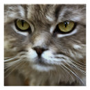 Search for grey tabby cat art Pet