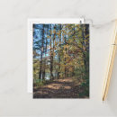 Search for forest path postcards Woods