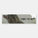 Search for squirrel bumper stickers Nuts