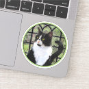 Search for window decal stickers Cute