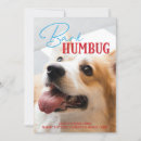 Search for funny dog christmas cards Bark humbug