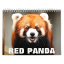 Search for panda bear calendars Animal