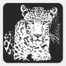 Search for white leopard stickers Black