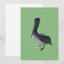 Search for big bird cards Feathers