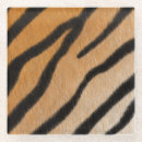 Search for animals coasters Mammal