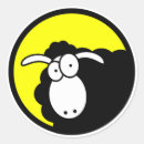 Search for black stickers Reward