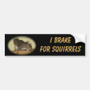 Search for squirrel bumper stickers I brake for squirrels