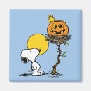 Search for jack o lantern magnets Halloween