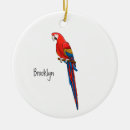 Search for macaw christmas tree decorations Bird