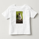 Search for monkey toddler tshirts Primate