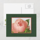 Search for rose blank postcards Roses