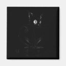 Search for weird magnets Black cat