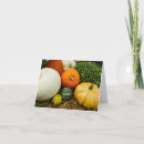Search for gourd cards Pumpkin