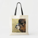 Search for camels bags Animal