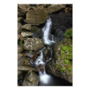 Search for el yunque posters Caribbean