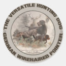 Search for hunting dog stickers Drahthaar