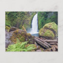 Search for columbia river gorge postcards Environment