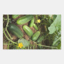 Search for canning pickles stickers Food
