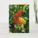 Search for gulf cards Butterfly