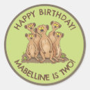 Search for meerkat stickers Funny