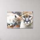 Search for threat art Animal