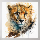 Search for cheetah portrait posters Wildlife