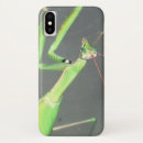 Search for mantis cases Bug