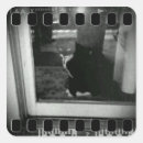 Search for strips stickers Film