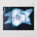 Search for blue bunny postcards Rabbit