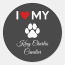Search for king of kings stickers Text