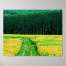 Search for flower fields posters Yellow
