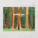 Search for sequoia national park postcards Sierra nevada