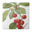 Search for botanical tiles Green leaves