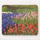 Search for varieties mousepads Flower