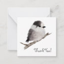 Search for bird note cards Fall