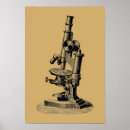 Search for vintage biology posters Antique