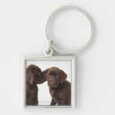 Search for photo studio key rings Animal