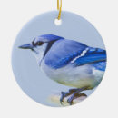 Search for beak christmas tree decorations Animals