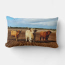 Search for highland cow cushions Animal