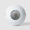 Search for weed golf equipment Dandelion