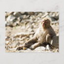 Search for prefecture postcards Outdoors