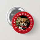Search for felines badges For pets