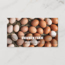 Search for fresh eggs business cards Farming