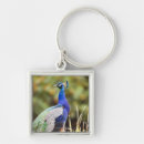 Search for birds of a feather key rings Vertical